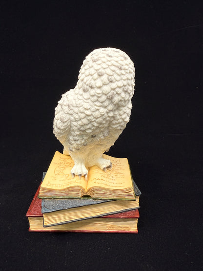 Veronese Design Snow Owl on Book Decorative Figurine 17.5 cm