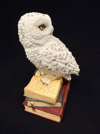 Veronese Design Snow Owl on Book Decorative Figurine 17.5 cm
