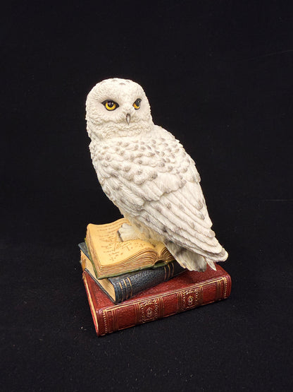 Veronese Design Snow Owl on Book Decorative Figurine 17.5 cm
