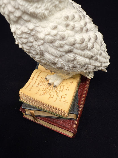Veronese Design Snow Owl on Book Decorative Figurine 17.5 cm