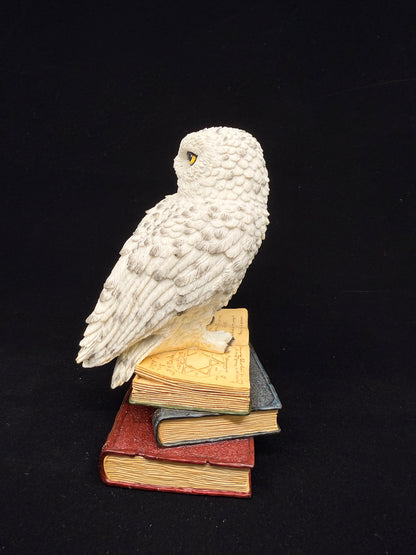 Veronese Design Snow Owl on Book Decorative Figurine 17.5 cm