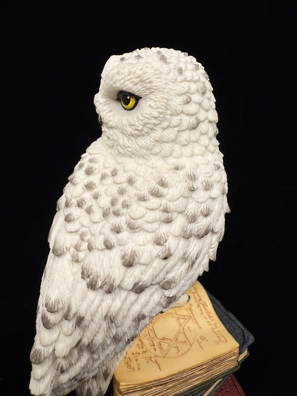 Veronese Design Snow Owl on Book Decorative Figurine 17.5 cm