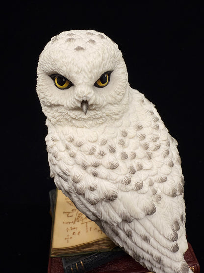Veronese Design Snow Owl on Book Decorative Figurine 17.5 cm