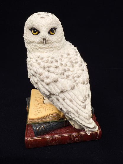 Veronese Design Snow Owl on Book Decorative Figurine 17.5 cm