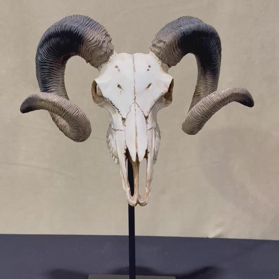 Veronese Design Büyük Boynuz Dekoratif Obje Soğuk Döküm Resin 47 cm