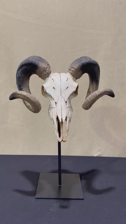 Veronese Design Büyük Boynuz Dekoratif Obje Soğuk Döküm Resin 47 cm