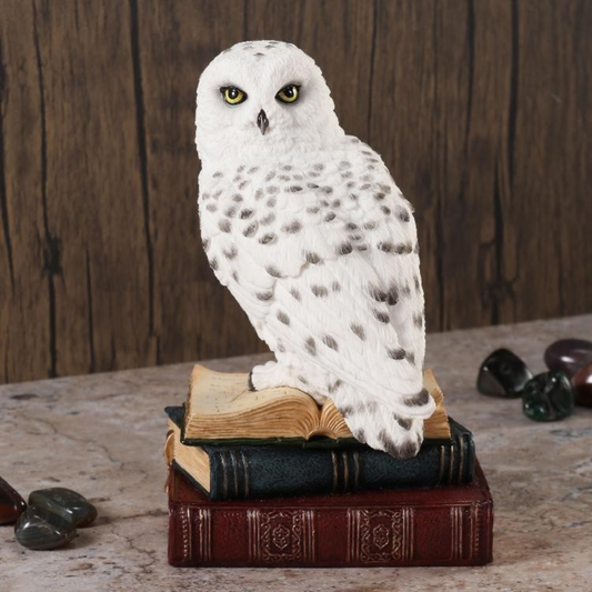 Veronese Design Snow Owl on Book Decorative Figurine 17.5 cm